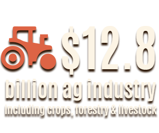 $12.8 billion ag industry including crops, forestry, and livestock Missouri agricultural industry totals $12.8 billion dollars including crops, forestry, and livestock.